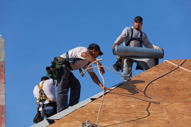 Best Storm Damage Roof Repair  in Meadowbrook, AL